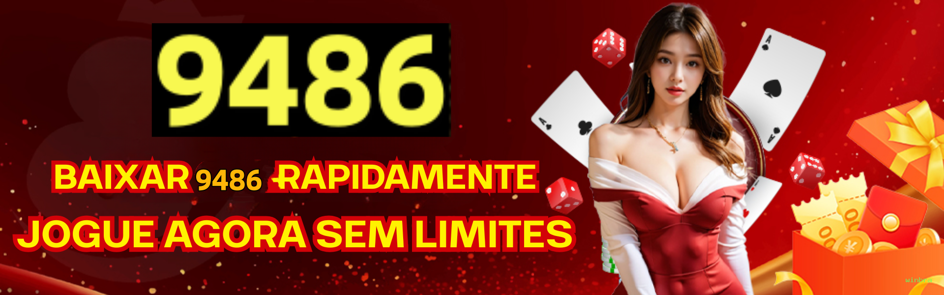Sistemas de Segurança winbra
